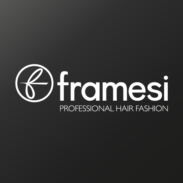 Logo de Framesi